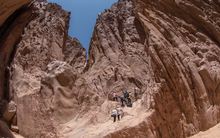 Wadi Al-Wechwach, un joyau caché au sud Sinaï 7 - Le Progrès Egyptien