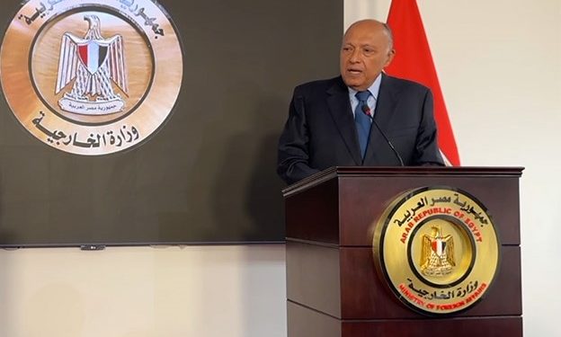 Choucri: La prochaine étape pour reconnaître l'Etat de Palestine passera par l'Assemblée générale de l'ONU 1 - Le Progrès Egyptien