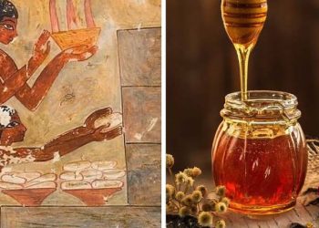 Les Egyptiens enduisaient-ils leur corps de miel pour repousser les mouches ? 