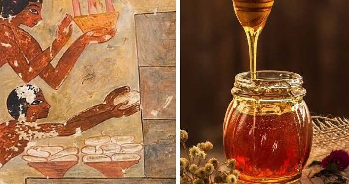 Les Egyptiens enduisaient-ils leur corps de miel pour repousser les mouches ?  1 - Le Progrès Egyptien