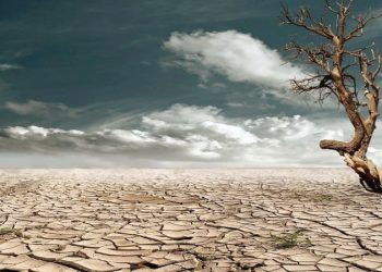 Ligue Arabe: Suivi des conventions sur la désertification et la biodiversité