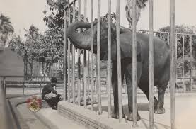 Le zoo d’Alexandrie, une destination pas comme les autres 4 - Le Progrès Egyptien Le zoo d’Alexandrie, une destination pas comme les autres 3 - Le Progrès Egyptien