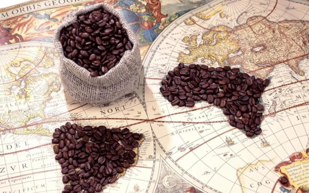 Le café enfin cultivé en Egypte 10 - Le Progrès Egyptien Le café enfin cultivé en Egypte 9 - Le Progrès Egyptien