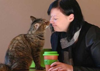 Une étude choquante: Les chats ont des effets néfastes sur la santé mentale