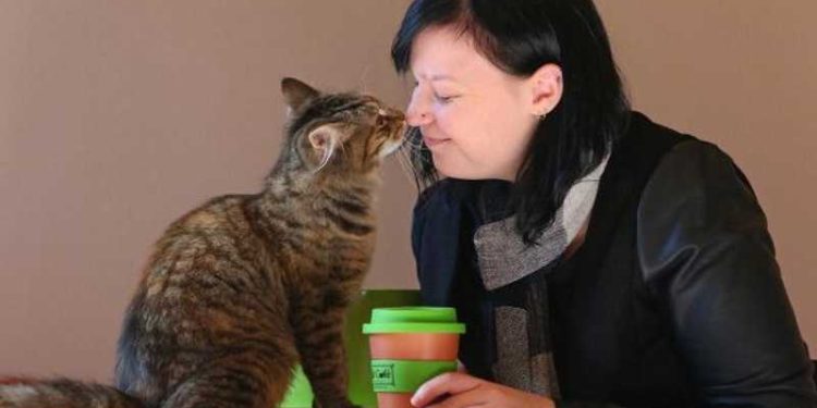 Une étude choquante: Les chats ont des effets néfastes sur la santé mentale 2 - Le Progrès Egyptien Une étude choquante: Les chats ont des effets néfastes sur la santé mentale 1 - Le Progrès Egyptien