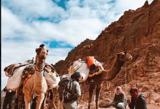 Réserves naturelles : Booster le rôle des communautés locales 1 - Le Progrès Egyptien