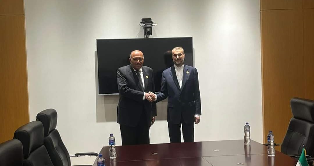 Choucri souligne la nécessité d'un cessez-le-feu immédiat à Gaza 1 - Le Progrès Egyptien