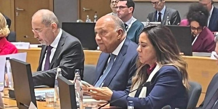 Choucri : Intervenir pour arrêter la guerre contre Gaza 2 - Le Progrès Egyptien Choucri : Intervenir pour arrêter la guerre contre Gaza 1 - Le Progrès Egyptien