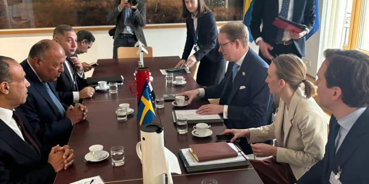 Choucri rencontre son homologue suédois 1 - Le Progrès Egyptien