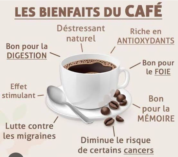 Le café enfin cultivé en Egypte 14 - Le Progrès Egyptien Le café enfin cultivé en Egypte 13 - Le Progrès Egyptien