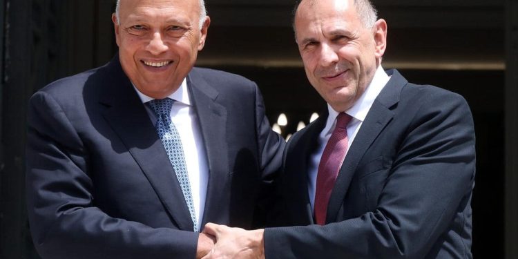 Choucri : La présence militaire israélienne à Rafah menace les convois humanitaires 1 - Le Progrès Egyptien