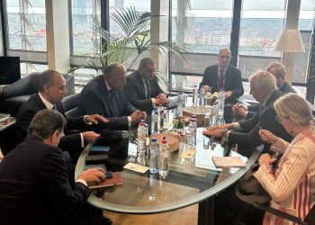 Choucri s’entretient avec Borrell à Bruxelles