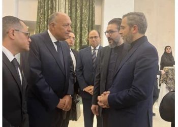 Décès du Président Raïssi : Choucri présente ses condoléances aux responsables iraniens