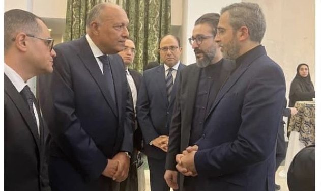 Décès du Président Raïssi : Choucri présente ses condoléances aux responsables iraniens 1 - Le Progrès Egyptien