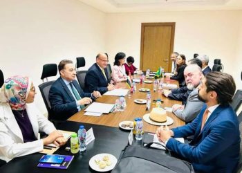 L’Egypte et le Brésil examinent l’établissement d’un centre logistique dans la SC Zone