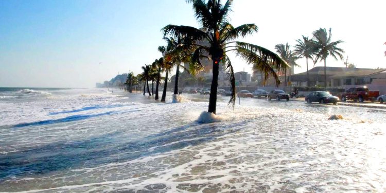 La montée des mers continuera 1 - Le Progrès Egyptien