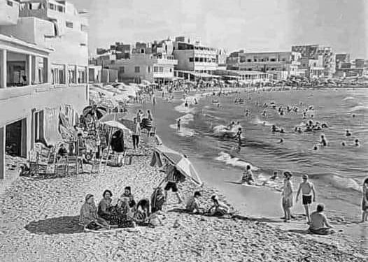 Alexandrie et sa splendeur en été 2 - Le Progrès Egyptien Alexandrie et sa splendeur en été 1 - Le Progrès Egyptien