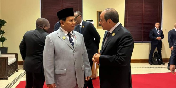Al-Sissi rencontre son homologue indonésien 1 - Le Progrès Egyptien