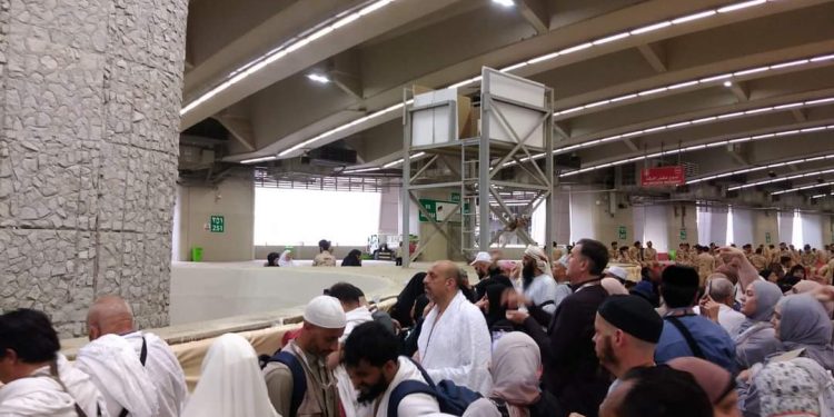 Les pèlerins s'apprêtent à regagner la patrie 1 - Le Progrès Egyptien