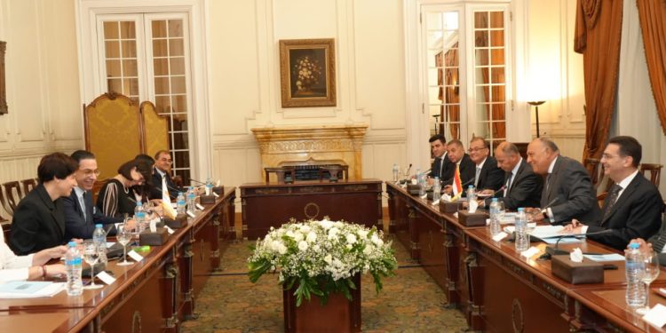 Consultations élargies Egypte-Chypre 1 - Le Progrès Egyptien