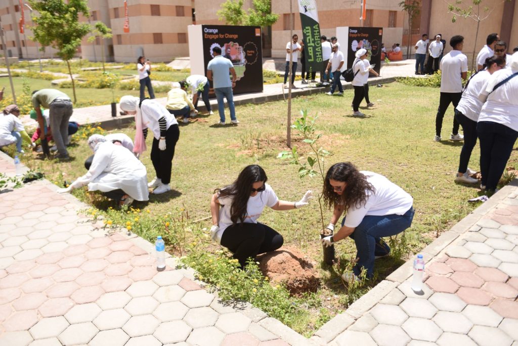 Orange Egypte lance une vaste campagne de plantation d'arbres fruitiers 22 - Le Progrès Egyptien Orange Egypte lance une vaste campagne de plantation d'arbres fruitiers 21 - Le Progrès Egyptien