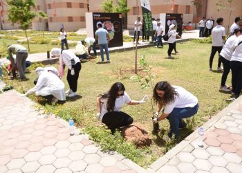 Orange Egypte lance une vaste campagne de plantation d’arbres fruitiers