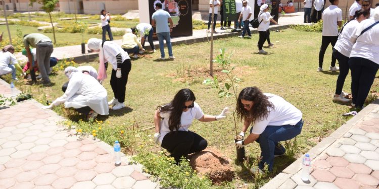 Orange Egypte lance une vaste campagne de plantation d'arbres fruitiers 2 - Le Progrès Egyptien Orange Egypte lance une vaste campagne de plantation d'arbres fruitiers 1 - Le Progrès Egyptien