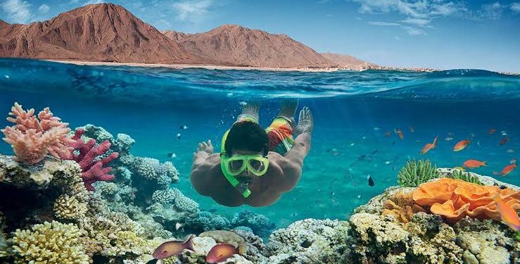 Le charme de Charm El-Cheikh 2 - Le Progrès Egyptien Le charme de Charm El-Cheikh 1 - Le Progrès Egyptien