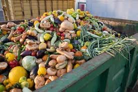 Gaspillage alimentaire, pourquoi jeter et non réutiliser ? 6 - Le Progrès Egyptien Gaspillage alimentaire, pourquoi jeter et non réutiliser ? 5 - Le Progrès Egyptien