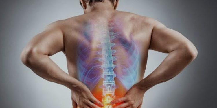 Le sport, pour éviter la dorsalgie... 1 - Le Progrès Egyptien