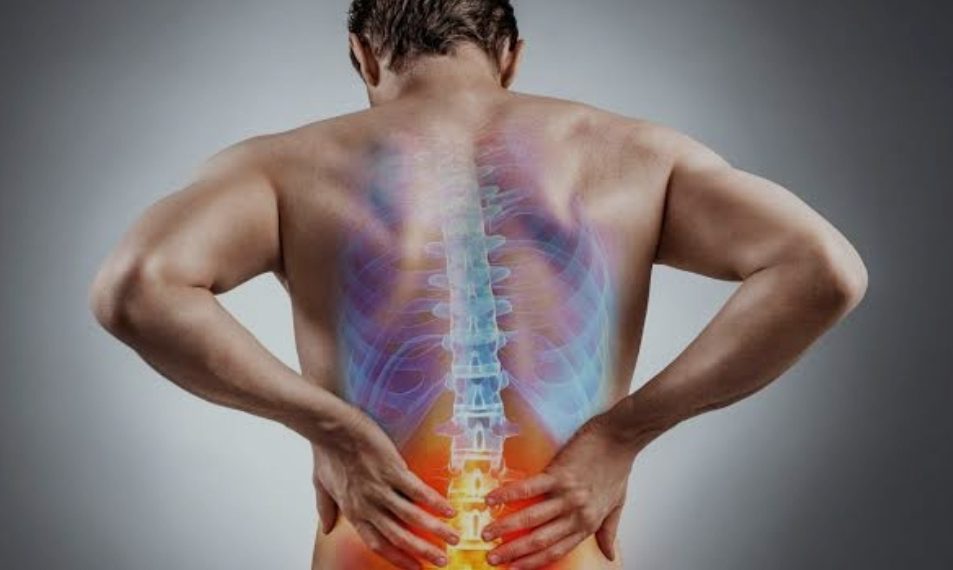 Le sport, pour éviter la dorsalgie... 1 - Le Progrès Egyptien