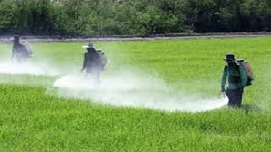 Bonne nouvelle: Des plantes capables d'avertir  les humains des polluants et des pesticides ! 7 - Le Progrès Egyptien