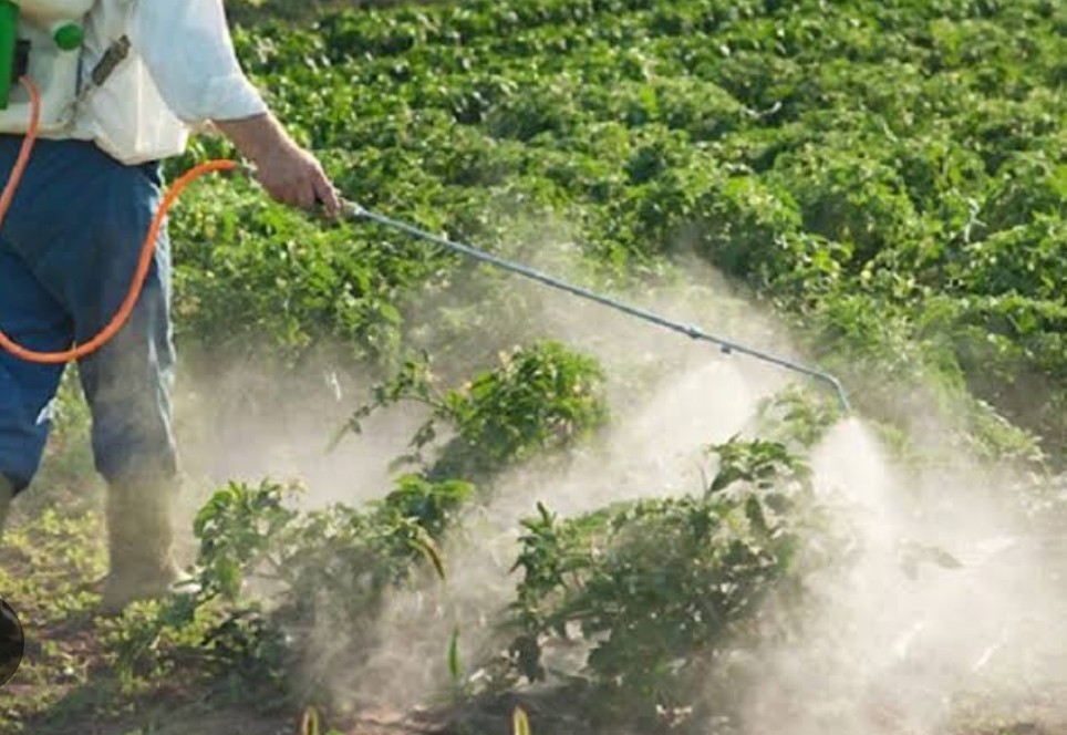 Bonne nouvelle: Des plantes capables d'avertir  les humains des polluants et des pesticides ! 3 - Le Progrès Egyptien