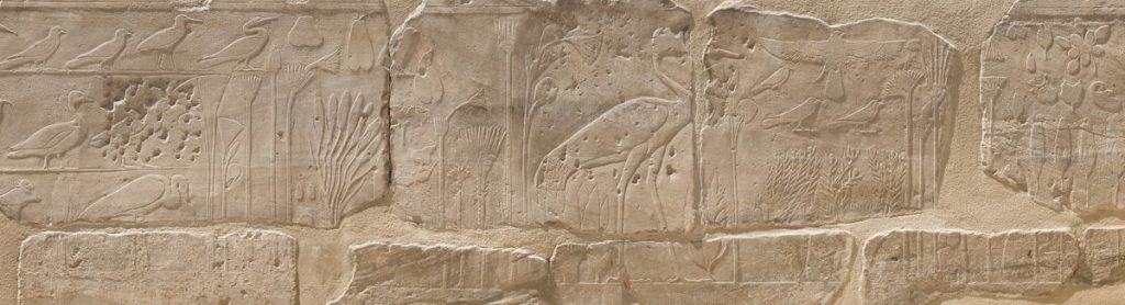 L’Egypte antique, une passion française 4 - Le Progrès Egyptien L’Egypte antique, une passion française 3 - Le Progrès Egyptien