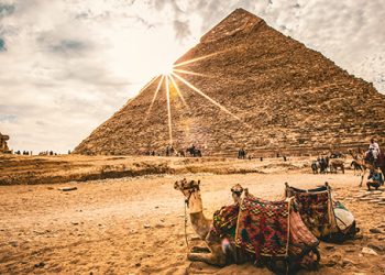 Tourisme: L’Egypte enregistre des taux sans précédent 