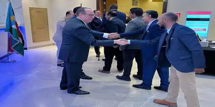 Soudan du Sud: Rôle pionnier de l’Egypte en Afrique 1 - Le Progrès Egyptien