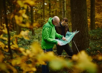 La vie secrète des arbres