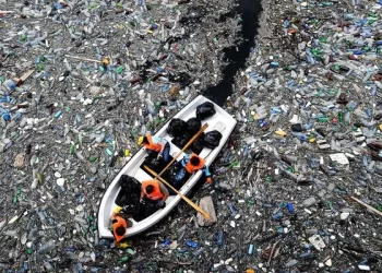 Un continent de plastique dans le Pacifique