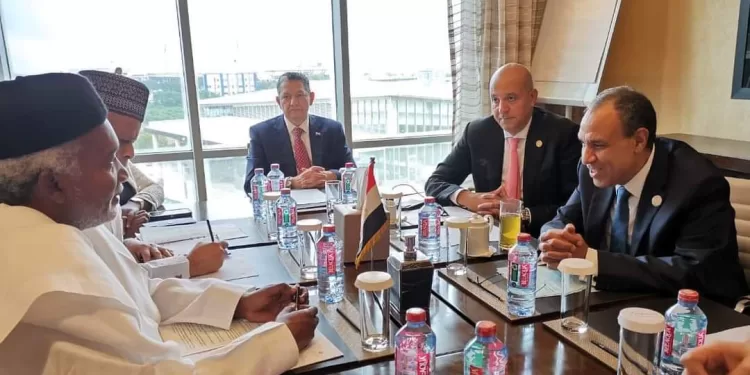 Abdel-Aati rencontre le ministre des AE du Nigeria 1 - Le Progrès Egyptien