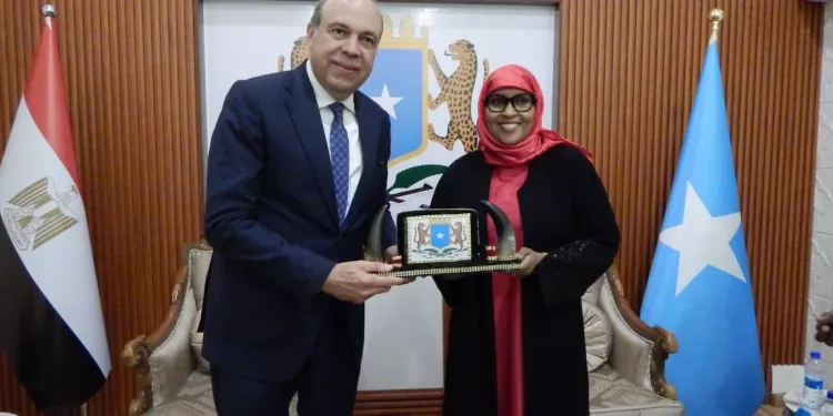 L'aviation civile « déploie ses ailes » en Afrique 2 - Le Progrès Egyptien L'aviation civile « déploie ses ailes » en Afrique 1 - Le Progrès Egyptien