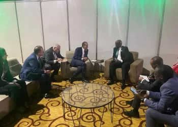 AE : L’Egypte engagée efficacement dans les questions africaines