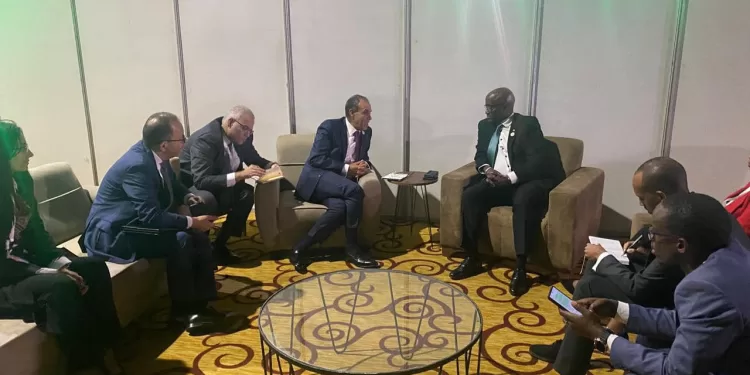 AE : L'Egypte engagée efficacement dans les questions africaines 2 - Le Progrès Egyptien AE : L'Egypte engagée efficacement dans les questions africaines 1 - Le Progrès Egyptien