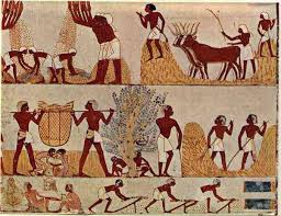 Les Anciens Égyptiens : De grands végétariens ? 4 - Le Progrès Egyptien Les Anciens Égyptiens : De grands végétariens ? 3 - Le Progrès Egyptien