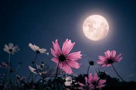 Et la lune aussi a une journée !