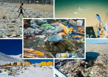                           Le plastique, phase critique