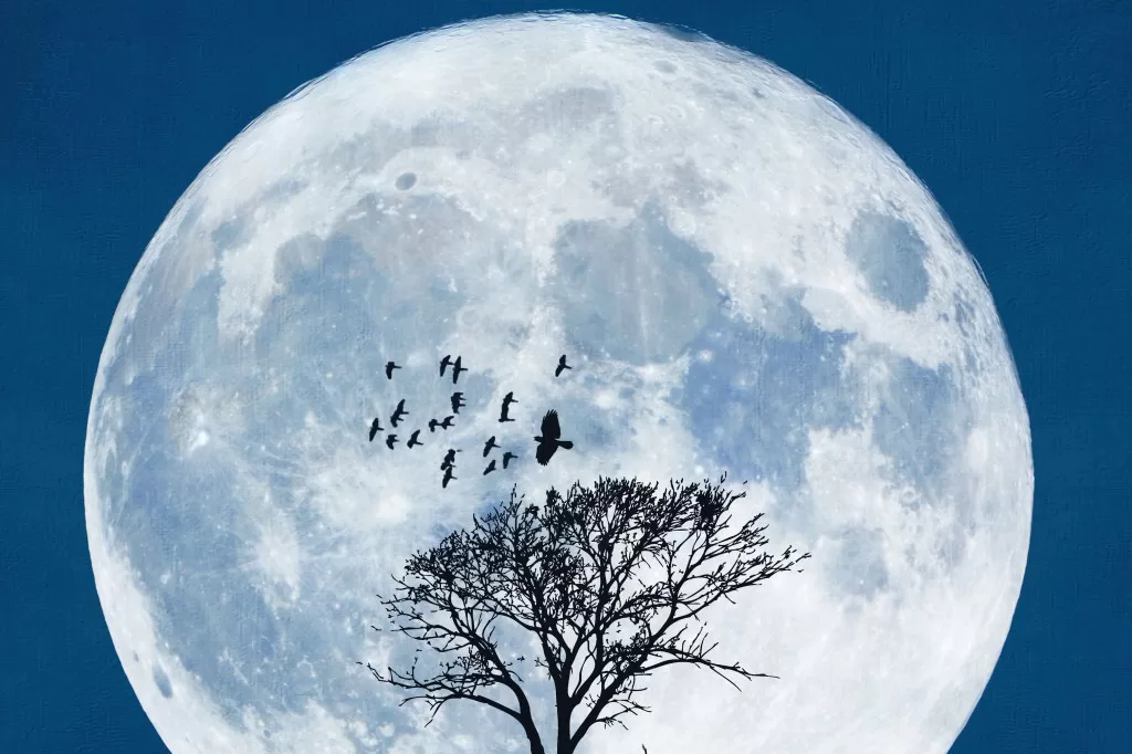 Et la lune aussi a une journée ! 6 - Le Progrès Egyptien Et la lune aussi a une journée ! 5 - Le Progrès Egyptien