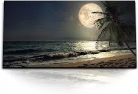 Et la lune aussi a une journée ! 4 - Le Progrès Egyptien Et la lune aussi a une journée ! 3 - Le Progrès Egyptien