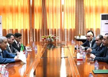 Madbouli appelle à l’intégration et l’unité entre les pays arabes