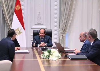Al-Sissi discute des priorités du secteur des énergies