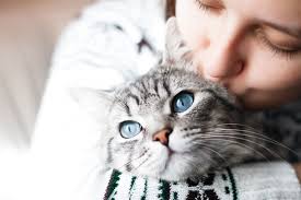 Animal domestique : Comment soulagent-ils différemment ? 12 - Le Progrès Egyptien Animal domestique : Comment soulagent-ils différemment ? 11 - Le Progrès Egyptien
